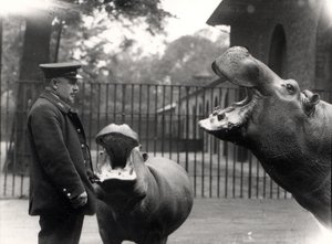Bobbie et Joan, 1923